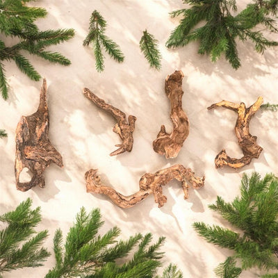 Monapai Natural Driftwood – Aquarium & Terrarium Decor (4-8 Inch)