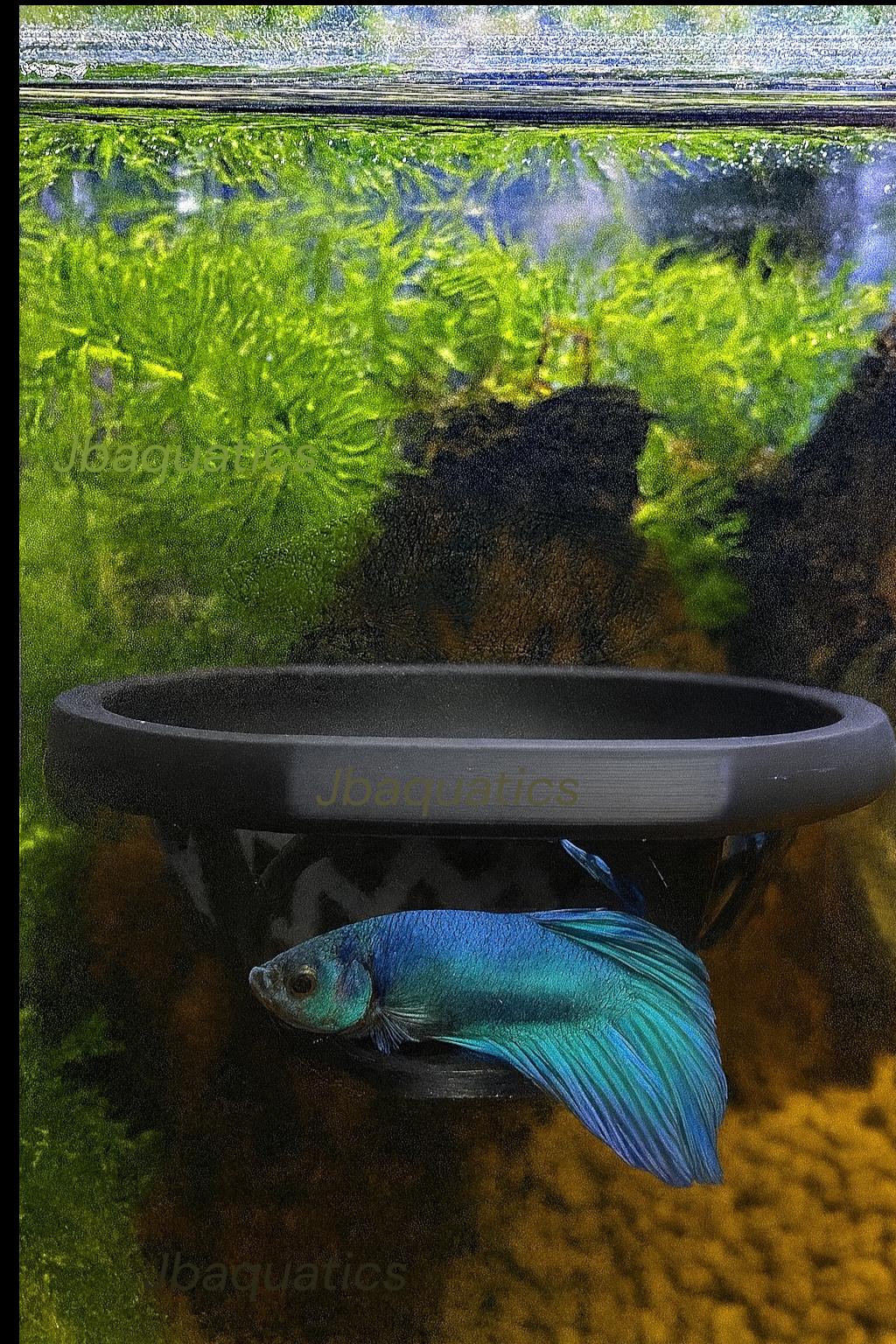 Floating Betta Bungalow: Fish Tank Rest Cave - Aquarium Decor