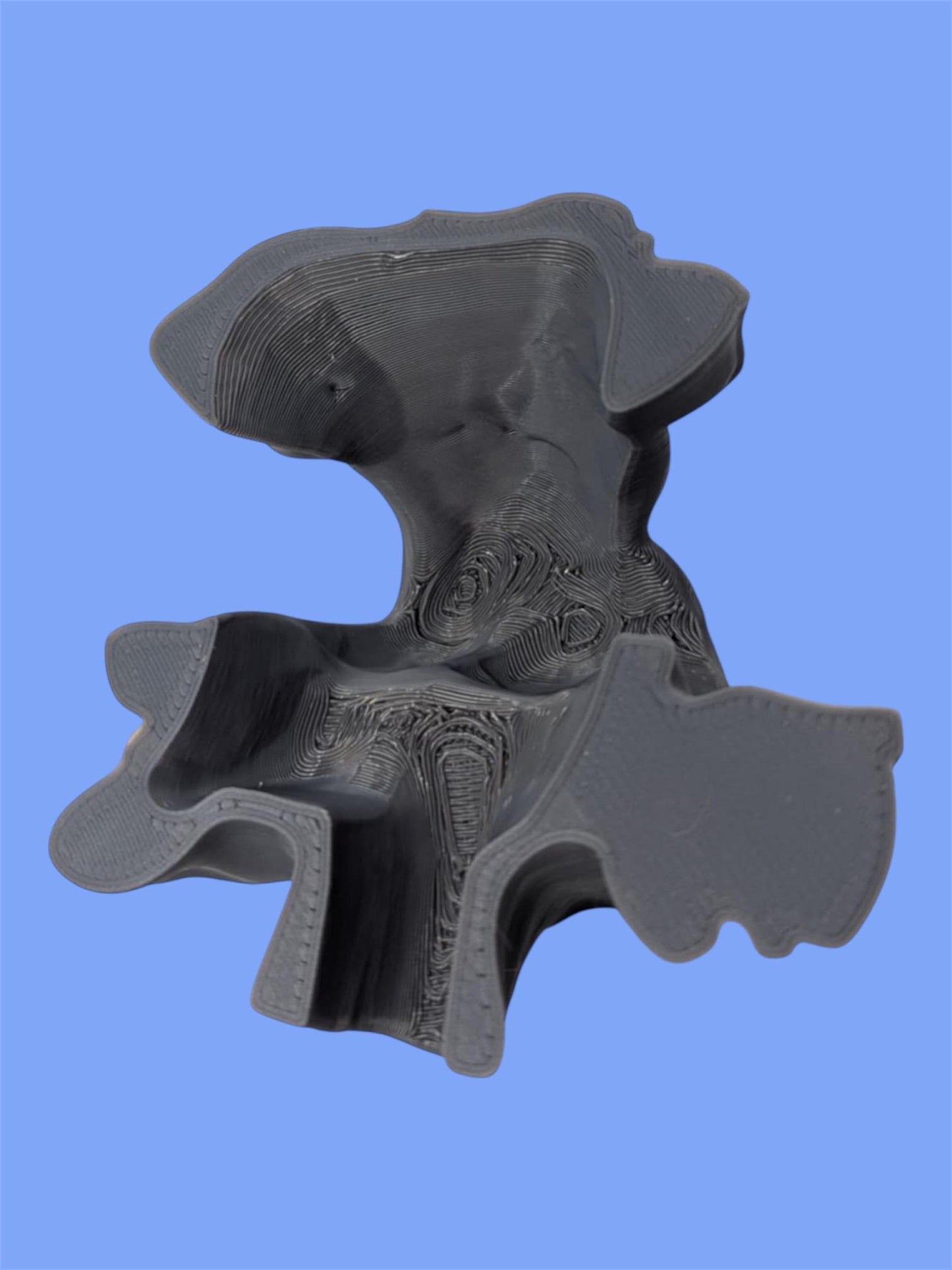 Aquarium or Reptile Cave Hideout – Natural Rock Style Shelter for Fish, Betta, Shrimp & Reptiles – Terrarium Tank Decor