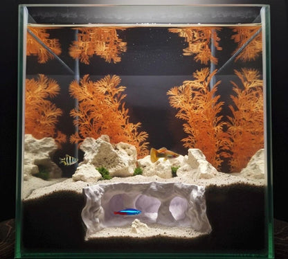 Underwater Lost City of Atlantis Cave - The Sunken Ruins | Aquarium Decoration - Shrimp, Fish Tank and Terranium Aquascape