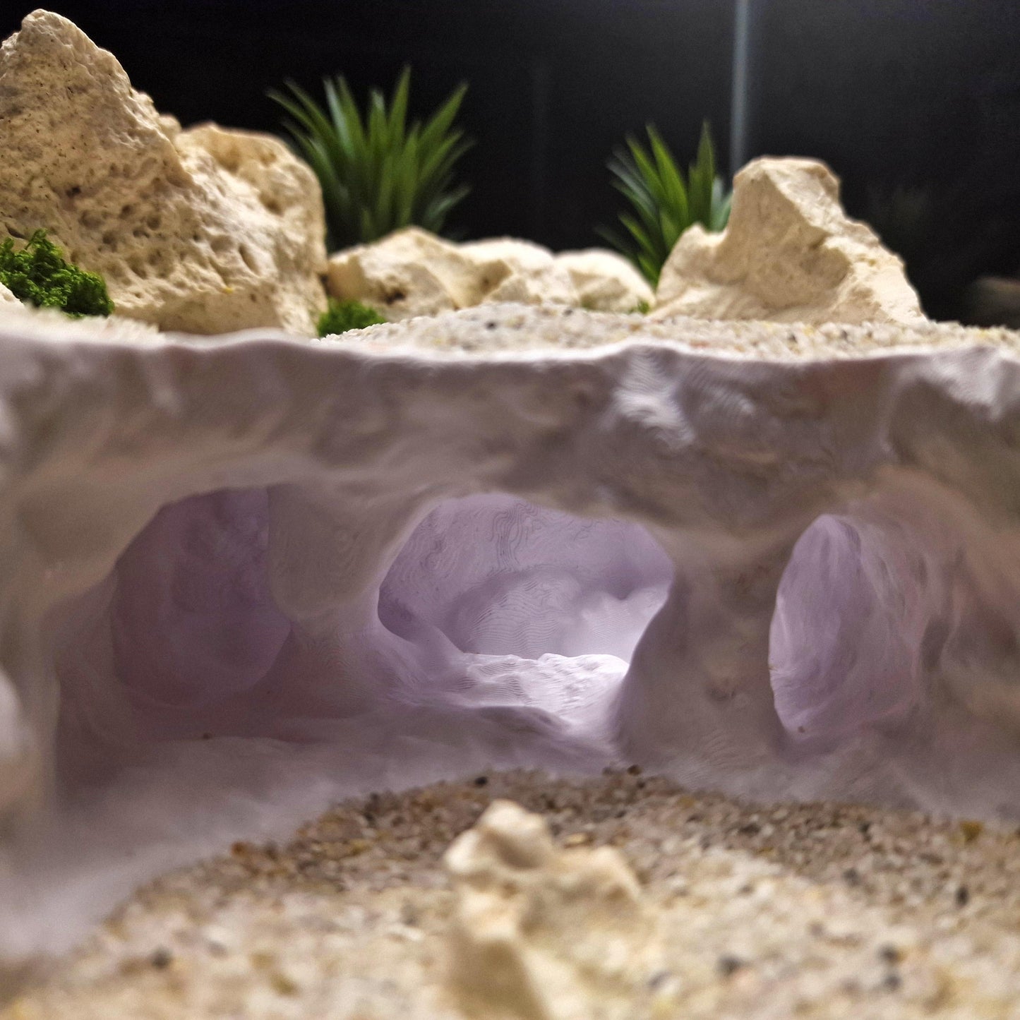 Underwater Lost City of Atlantis Cave - The Sunken Ruins | Aquarium Decoration - Shrimp, Fish Tank and Terranium Aquascape