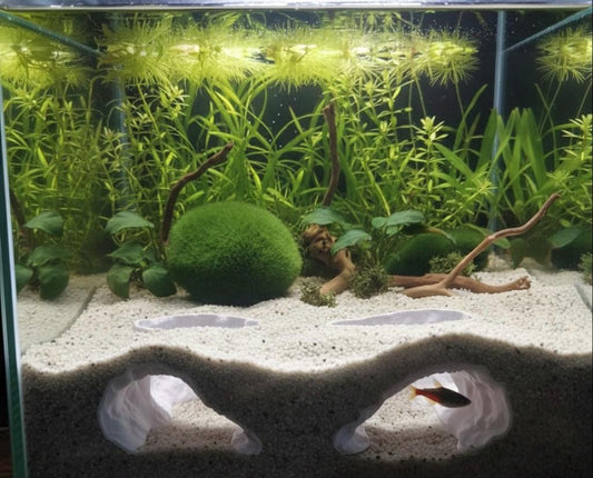 Natural  Aquarium Cave Hide | Fish Shelter with Dual Tunnels | Nano Tank Decor, Terranium, Betta, Pleco Shrimp Hide, Aquascape Accessory