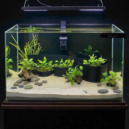 Aquarium Plant Holder - Aquascape Decor