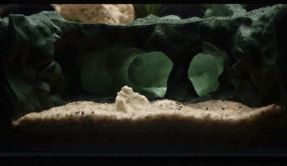 Underwater Lost City of Atlantis Cave - The Sunken Ruins | Aquarium Decoration - Shrimp, Fish Tank and Terranium Aquascape