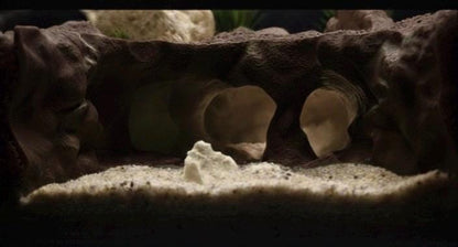 Underwater Lost City of Atlantis Cave - The Sunken Ruins | Aquarium Decoration - Shrimp, Fish Tank and Terranium Aquascape