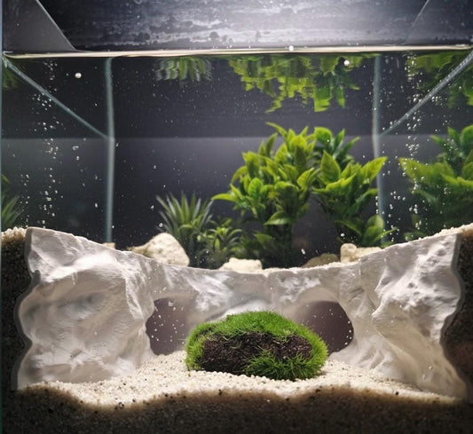 The Rapids - Aquarium Cave Tunnel Decor – White Rock Arch Aquascape | Natural Fish, Shrimp and Reptile Hideout - Dual Entry Design