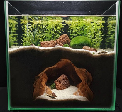 Shadowstone Canyon | Underground Bottom Dweller Den - Realistic Cave for Aquascaping
