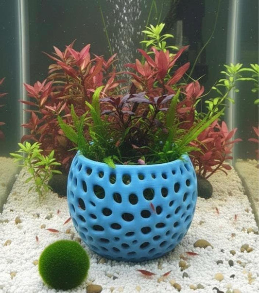 Shrimp Grazing Plant Holder Pot | Aquarium Planter with Open Flow Design | Shrimp & Betta Safe Aquascape Decor