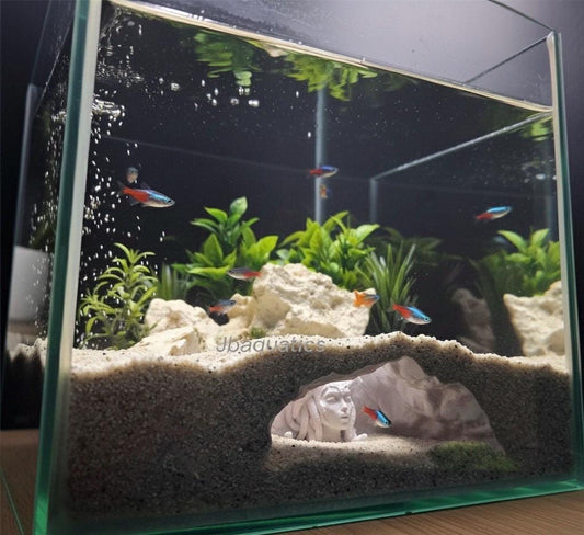 Medusas Lair Aquarium Hideout  Mythical Fish Cave Décor for Aquascapes & Terrariums - Underground Cave - The Catacombs