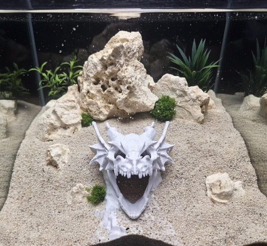 Underground Dragon Aquarium Cave Decor | Fantasy Dragon Lair Fish Hide | Aquascape Cave for Fish, Shrimp and Reptiles