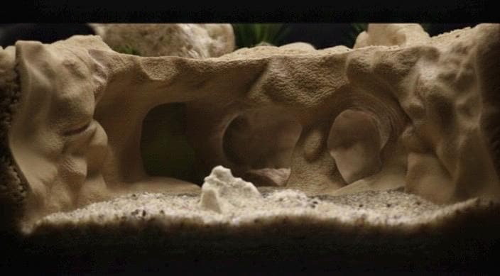 Underwater Lost City of Atlantis Cave - The Sunken Ruins | Aquarium Decoration - Shrimp, Fish Tank and Terranium Aquascape