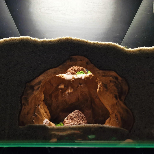 Shadowstone Canyon | Underground Bottom Dweller Den - Realistic Cave for Aquascaping | Aquatic Decor