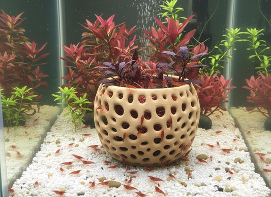 Shrimp Grazing Plant Holder Pot | Aquarium Planter with Open Flow Design | Shrimp & Betta Safe Aquascape Decor