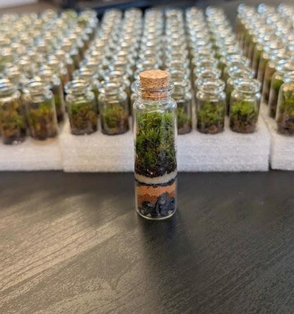 Pocket Terrarium | Self Sustaining Mini Ecosystem  Closed Moss Terrarium  Miniature Living Terrarium Jar  Desktop Nature Decor