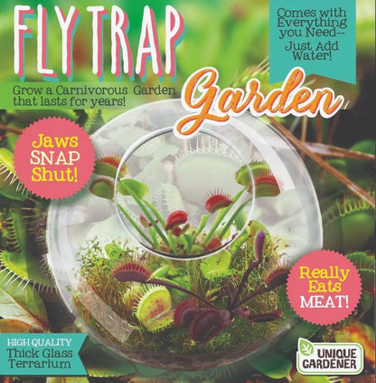 Venus Fly Trap Growing Kit  Carnivorous Plant Starter Kit  Live Flytrap Plant with Soil & Pot  Beginner Plant Kit