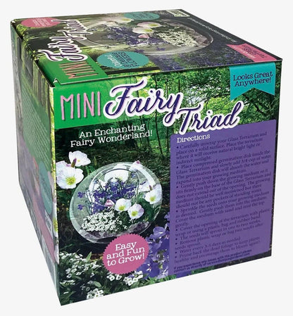 Mini Fairy Triad | Self-Sustaining Glass Terrarium | Flower Terrarium  Living Glass Terrarium Garden | Ecosystem Plant Display