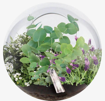 Mini Fairy Triad | Self-Sustaining Glass Terrarium | Flower Terrarium  Living Glass Terrarium Garden | Ecosystem Plant Display