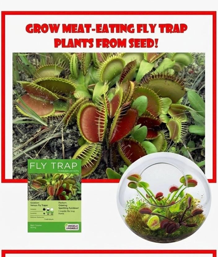 Venus Fly Trap Growing Kit  Carnivorous Plant Starter Kit  Live Flytrap Plant with Soil & Pot  Beginner Plant Kit