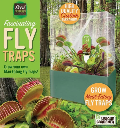 Venus Fly Trap Growing Kit  Carnivorous Plant Starter Kit  Live Flytrap Plant with Soil & Terrarium  Beginner Plant Kit