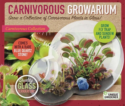 Venus Fly Trap and Sundew Growing Kit  Carnivorous Plant Starter Kit  Live Flytrap Plant with Soil & Terrarium  Beginner Plant Kit