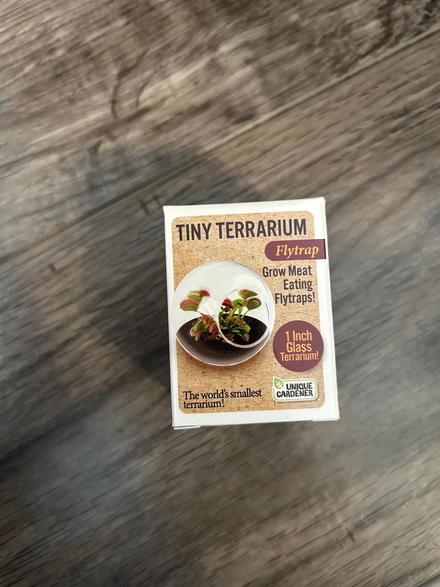 Venus Fly Trap Growing Kit  Carnivorous Plant Starter Kit  Live Flytrap Plant with Soil & Pot  Beginner Plant Kit