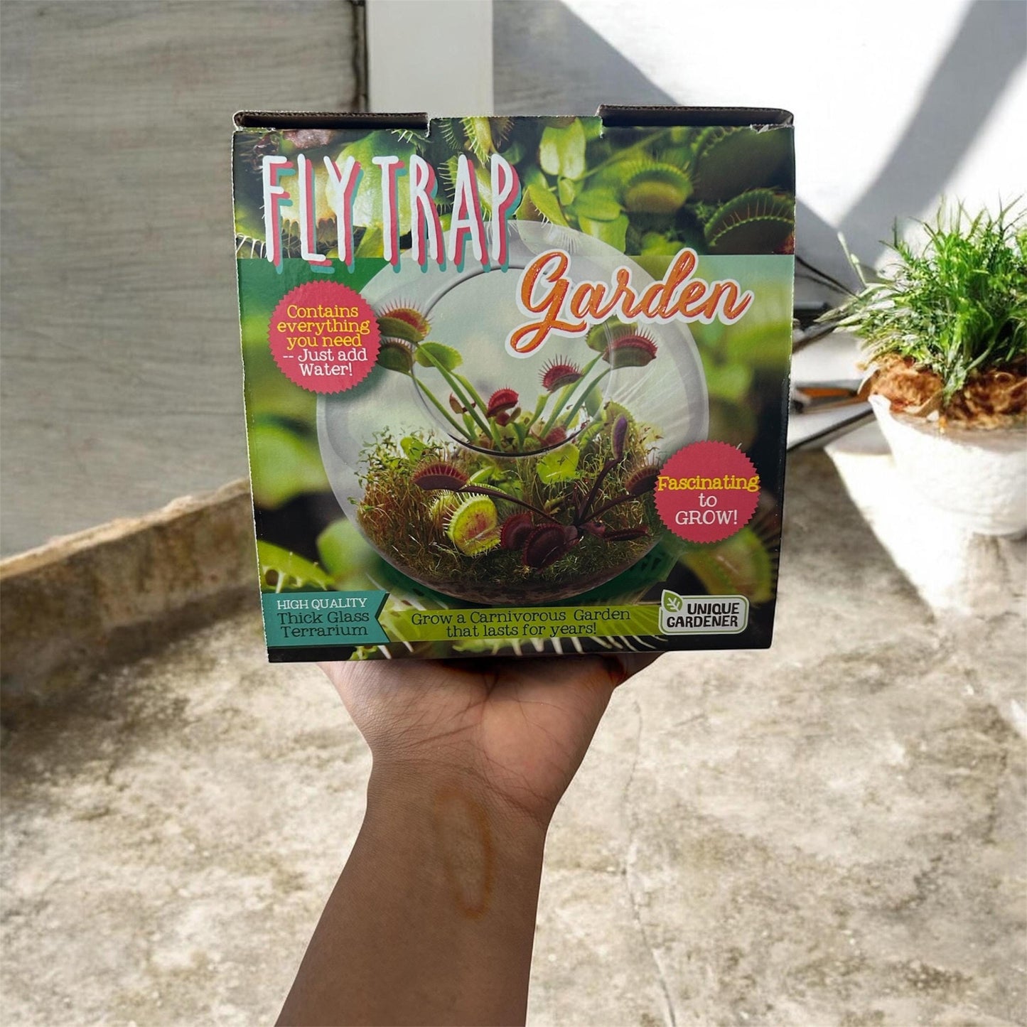 Venus Fly Trap Growing Kit  Carnivorous Plant Starter Kit  Live Flytrap Plant with Soil & Pot  Beginner Plant Kit