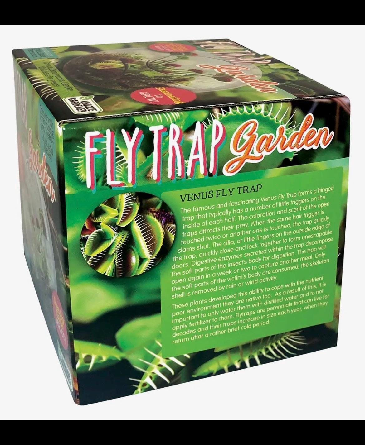 Venus Fly Trap Growing Kit  Carnivorous Plant Starter Kit  Live Flytrap Plant with Soil & Pot  Beginner Plant Kit