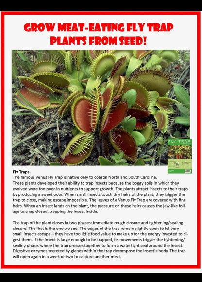 Venus Fly Trap Growing Kit  Carnivorous Plant Starter Kit  Live Flytrap Plant with Soil & Pot  Beginner Plant Kit