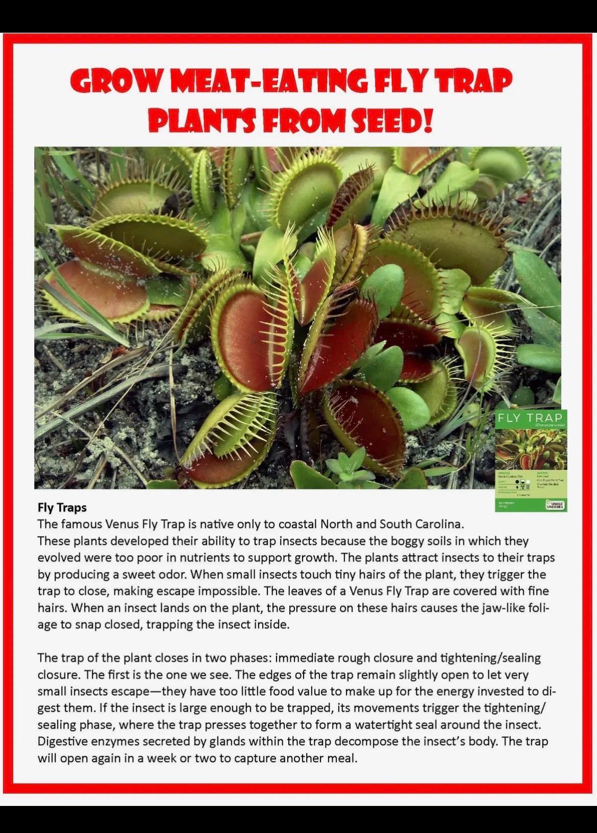 Venus Fly Trap Growing Kit  Carnivorous Plant Starter Kit  Live Flytrap Plant with Soil & Pot  Beginner Plant Kit (Small Size)