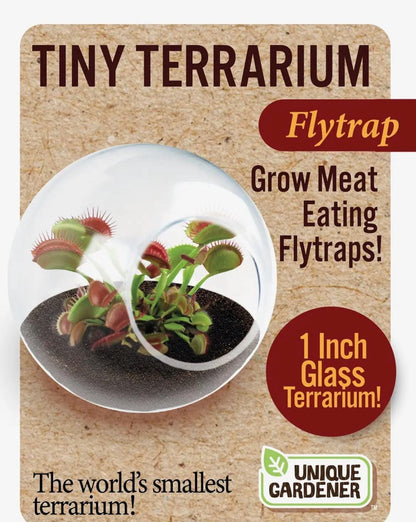Venus Fly Trap Growing Kit  Carnivorous Plant Starter Kit  Live Flytrap Plant with Soil & Pot  Beginner Plant Kit