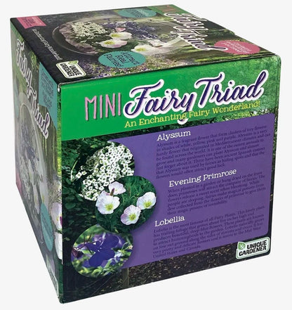 Mini Fairy Triad | Self-Sustaining Glass Terrarium | Flower Terrarium  Living Glass Terrarium Garden | Ecosystem Plant Display