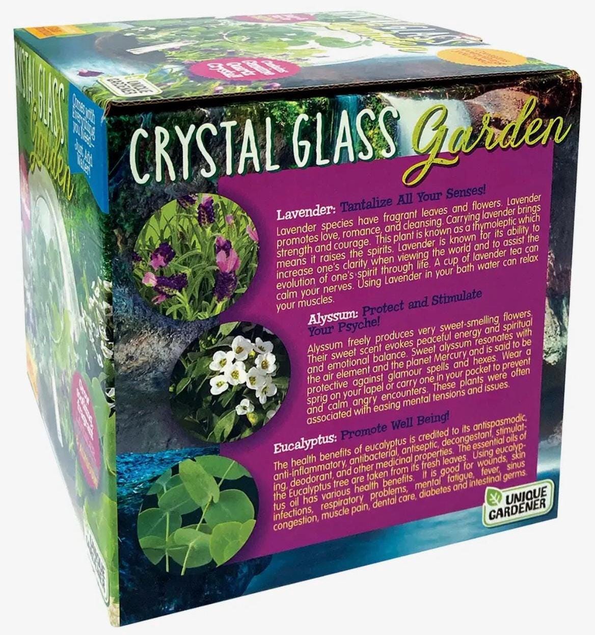 Mini Fairy Triad | Self-Sustaining Glass Terrarium | Flower Terrarium  Living Glass Terrarium Garden | Ecosystem Plant Display