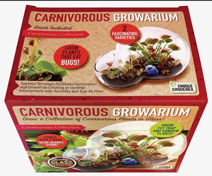 Venus Fly Trap and Sundew Growing Kit  Carnivorous Plant Starter Kit  Live Flytrap Plant with Soil & Terrarium  Beginner Plant Kit