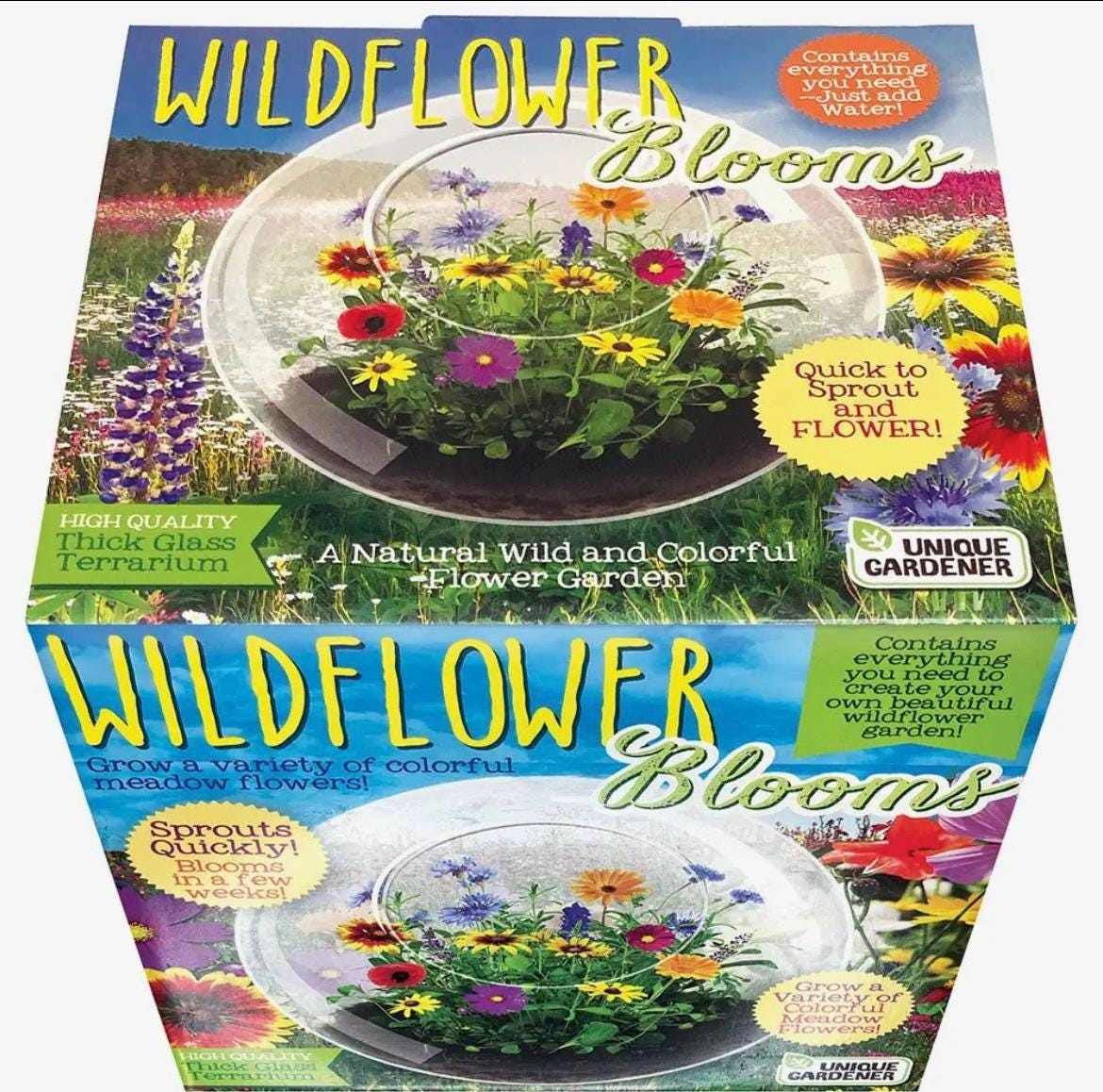 Wildflowers Glass Terrarium, Mini Indoor Garden, Botanical Home Decor, Unique Nature Gift, Low Maintenance Plant Display