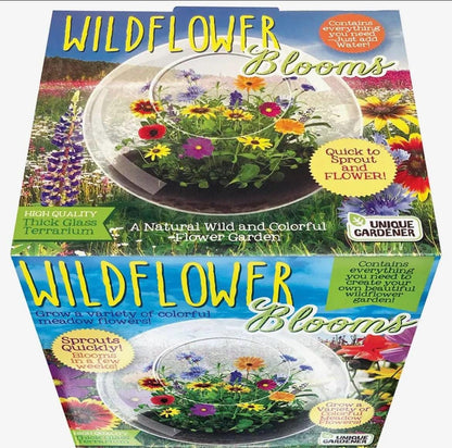 Wildflowers Glass Terrarium, Mini Indoor Garden, Botanical Home Decor, Unique Nature Gift, Low Maintenance Plant Display