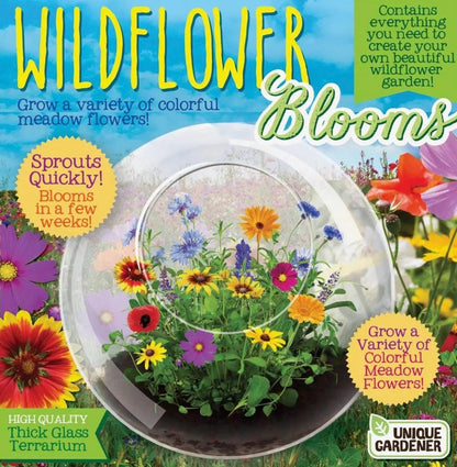 Wildflowers Glass Terrarium, Mini Indoor Garden, Botanical Home Decor, Unique Nature Gift, Low Maintenance Plant Display