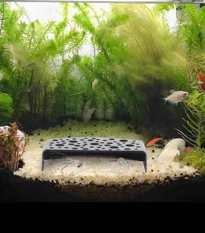 Shrimp Hideout-Breeder-Safety For Small Fish & Fry